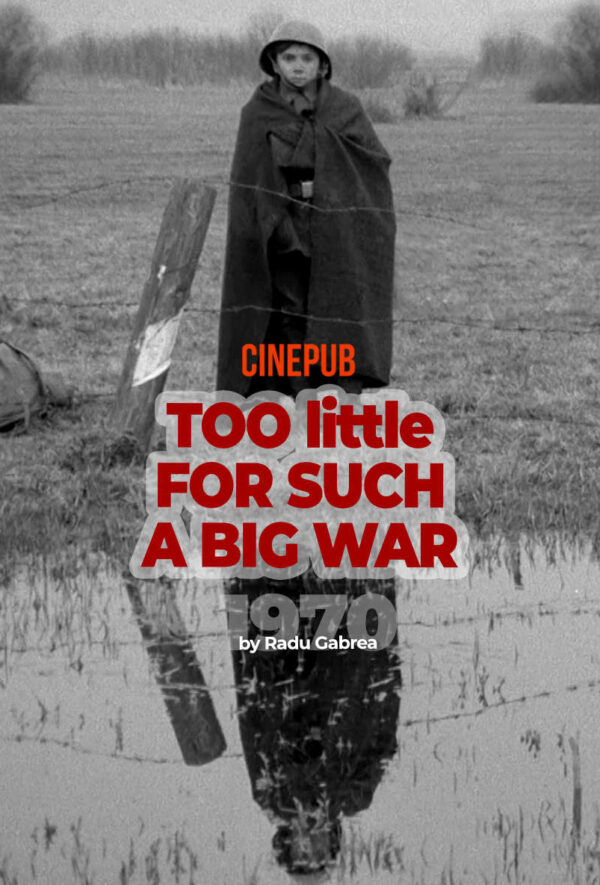 TOO LITTLE FOR SUCH A BIG WAR