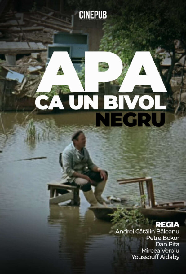 APA CA UN BIVOL NEGRU
